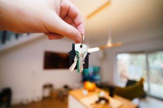 Déclaration d'occupation des biens immobiliers, mode d'emploi